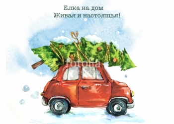 Живая елка с доставкой на дом.За качество отвечаем!