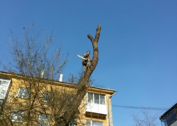 Услуги промышленных альпинистов