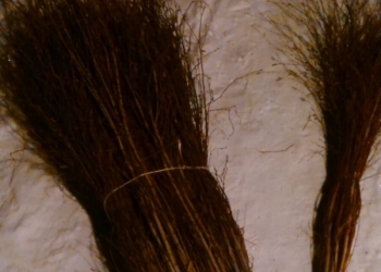 Берёзовые веники. Оптом...