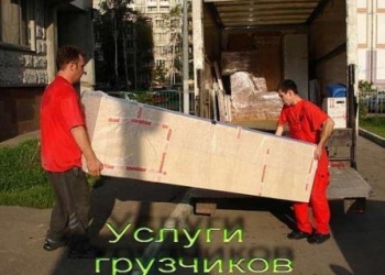 Доска бесплатных объявлений новоросиийс бельцы доска объявлений
