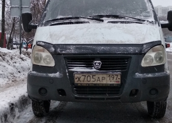 ГАЗ ГАЗель 33023, 2010