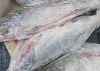 Предлагаю с хранения рыбопродукцию г. Владивосток