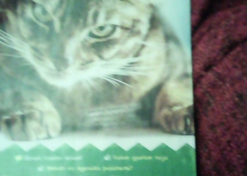 Журнал котелло