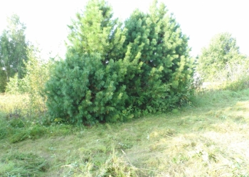 Продам дом в Калужской обл,д Малая Песочня