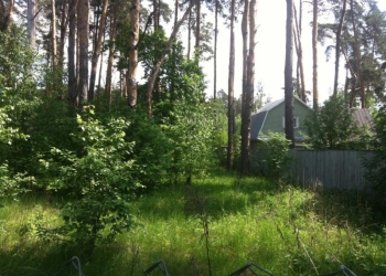 Продам участок в 5 км от МКАД по Рублево-Успенскому шоссе, дер. Раздоры
