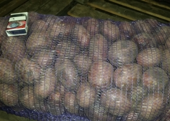 Картофель