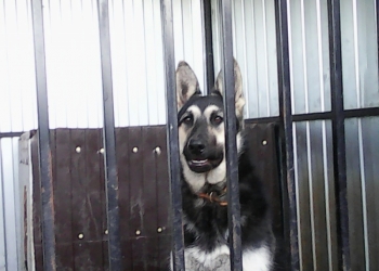 требуется вязка