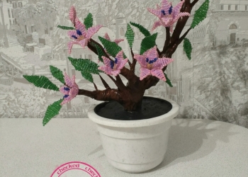 Цветущий Бонсай