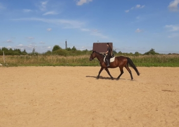 Катания на лошадях