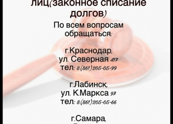 Правозащитник