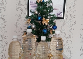 Ищу пратнера