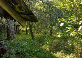 Садовый участок с домом