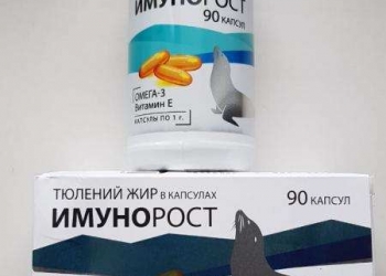 Омега 3 Тюлений Жир Купить