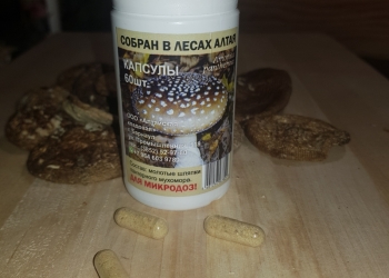 Мухомор красный, пантерный