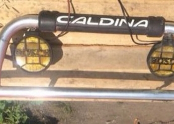 кенгурин caldina