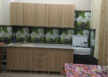 1-к квартира, 48 м2, 1/2 эт.