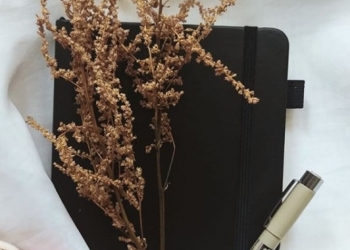 Оформим диплом, курсовую работу, отчет