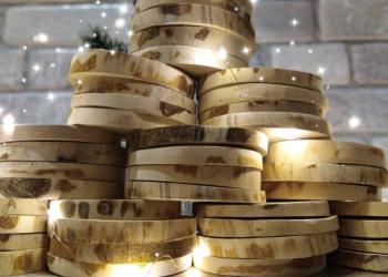 Спилы тополя