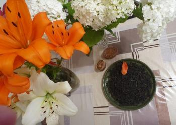 Иван Чай ( копорский чай)