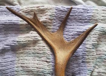 Для оформления