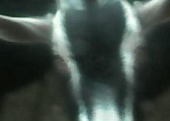 2 козла на мясо