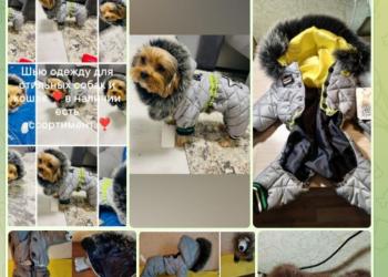 Одежда для собак и кошек.