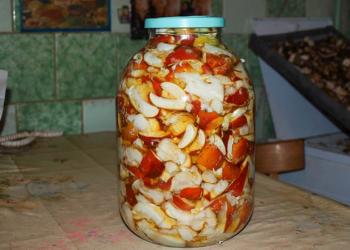 Экстракт грибов