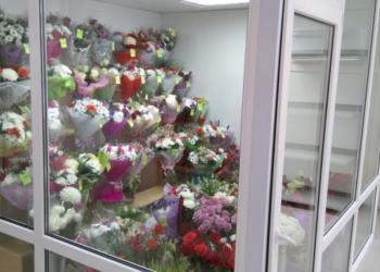 Холодильная камера