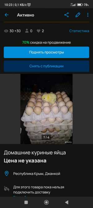 Домашнее яйцо