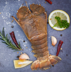 Песчаный лобстер 400+ гр