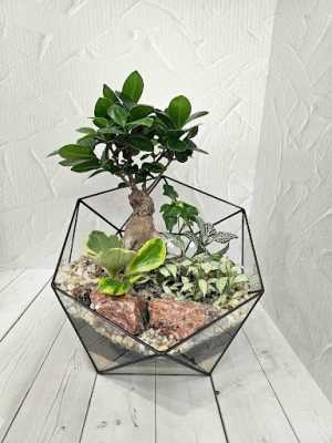 Флорариума