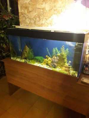 Аквариум 200 л.