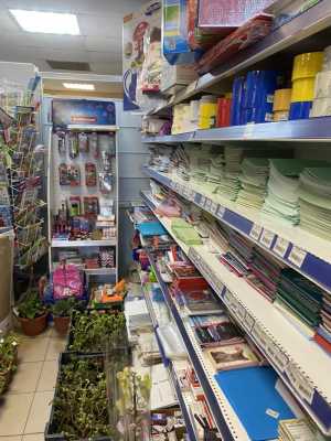 Продам готовый бизнес, магазин в собственности
