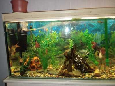 Аквариум