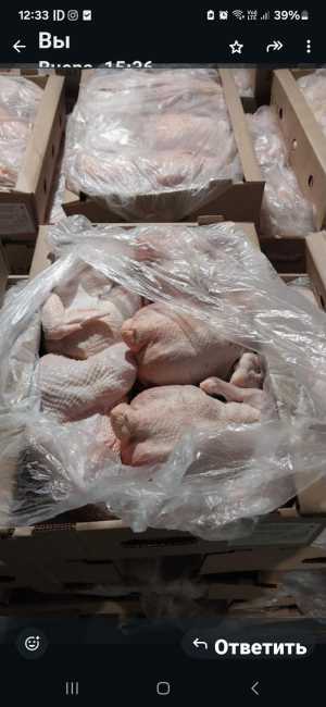 Куры маточное