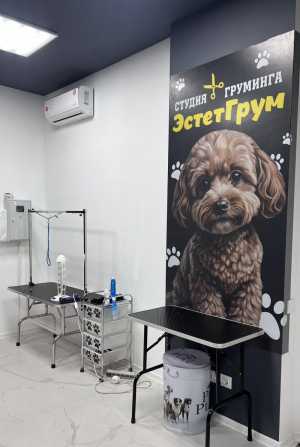 Продам готовый бизнес-зоосалон,груминг