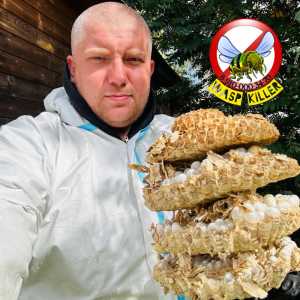 Уничтожение насекомых, клопов, тараканов, клещей, комаров
