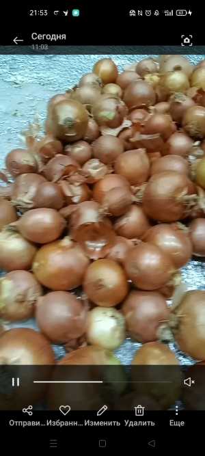 Овощи и фрукты