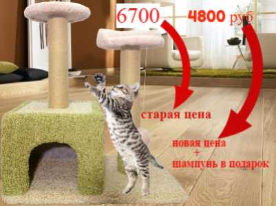 Когтеточка для кошек