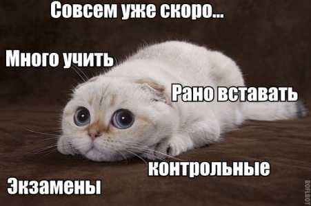 Курсовые,проекты, сочинения.Помогу студентам, школьникам!