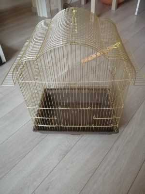 Клетка для попугая.