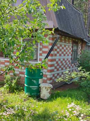 Дачный участок с домиком