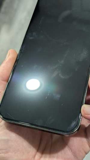 iPhone 13 Pro Max 256