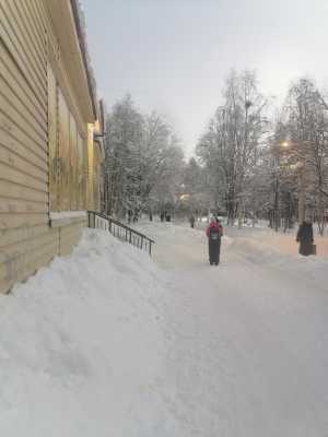 Готовый бизнес, ООО, действующее