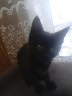 Рождены 25 октября. Девочки