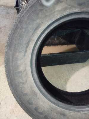 ���� Nexen r16