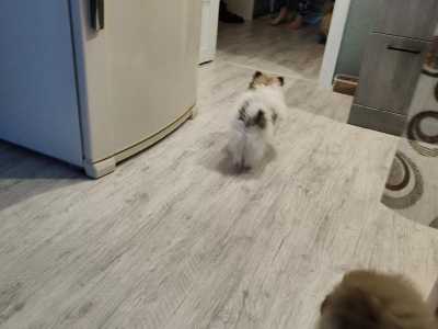����� ������������ �����