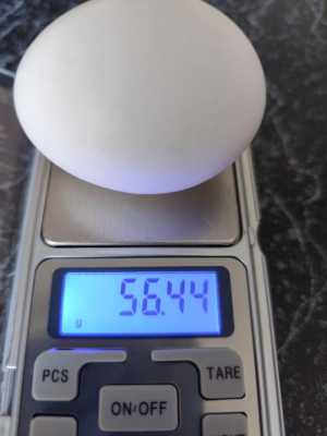 Весы кухонные, для мелких до 500гр продуктов