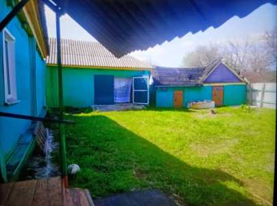 � ������� ��� ���� � ����� �����. ���� ��� � ����� 43 �2