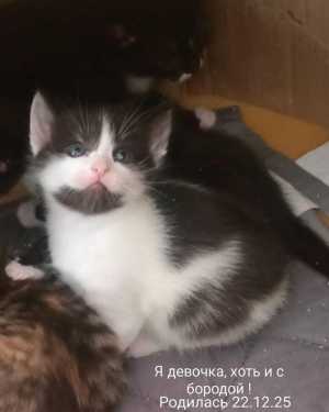 �����